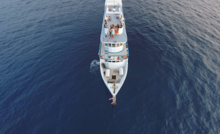 Top 8 Yacht Charter & Catamaran Companies in Ajaccio